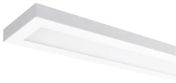 PINTA-/RIPUSTUSVALAISIN NAOS 1460X195 IP20 46W/840 WH