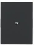 CENTRUMPL 100MM BLIND MATT SV