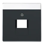 CENTRUMPLATTA F 1XRJ45 ANTRACIT
