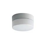 YLEISVALAISIN AVR2 AVR2.1 IP44 60W PC O