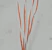 nestor cables Instrumentointikaap-hf nestor nesmak-hf 4x2x0,5+0,5dca pk200