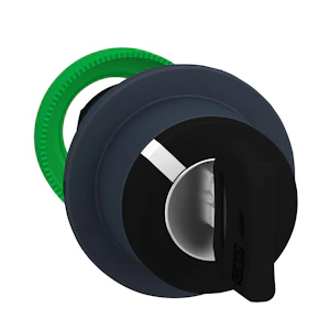 schneider electric Nyckelvred plast infälld 2 455