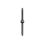 VAN DER VALK STOCKSKRUV RF M12X250MM TRÄTAK