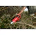 milwaukee Akkuoksasakset milwaukee m12 blprs-202