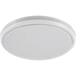 PLAFOND ROUNDY TLE-18 18W