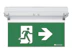 teknoware Opastevalaisin solid exit 2 y3171w148 24-230v 30m oik 1-p