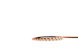 hide-a-lite Ledstrip rx tune ip20 24v lpm