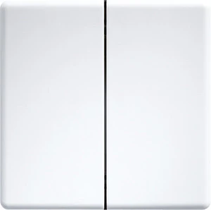 eltako Vipu tap 2-os. 55x55mm val tf-dw-4ft55