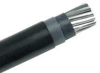 BLL 62 FEAL 24kV .