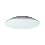 YLEISVALAISIN PINTA FRISBEE 18W IP40 1610 4K DIM