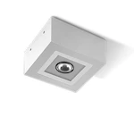SEINÄ/KATTOVALAISIN ULKO MIMIK 10 CEILING C/I20 10W 4K