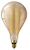 philips Led-lamppu a160 nd 6-25w e27 2000k gold