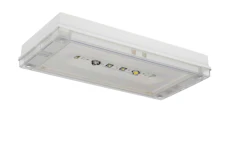 TURVAVALAISIN SOLID ZONE LOWBAY TWT3241WK 24V IP65