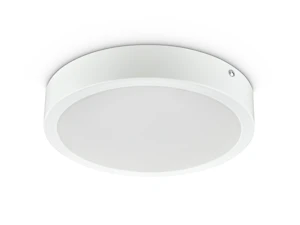philips Alasvalo ledinaire 2000lm 830 19w on/off d225