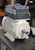vacon Taajuusmuuttaja vacon 100 x 1,1kw/3,4a, ip66