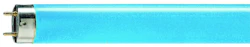 LOISTELAMPPU T8 PHILIPS TL-D 58W/180 G13 SININEN