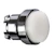 schneider electric Lamptrycke vit