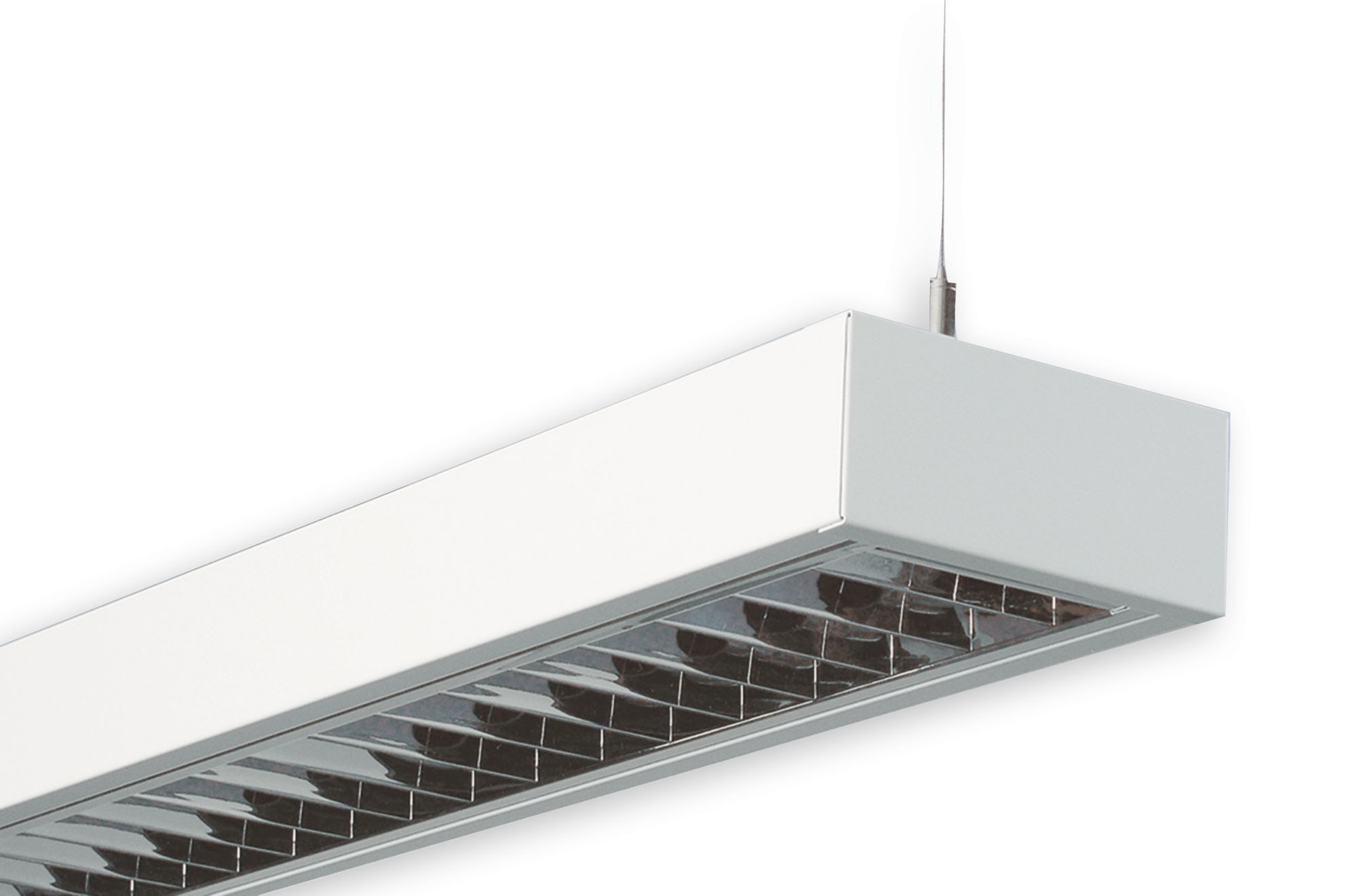 RIPUSTUSVALAISIN ALPO AP492031A T5 2X49W