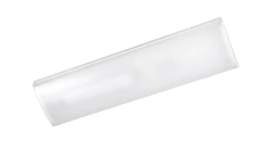 YLEISVALAISIN PINTA NAIAD 25G3 NAIAD L60 2100LM 840 O