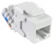 elko Jack tl croco utp c6