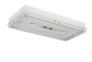 teknoware Turvavalaisin solid line y4251wk 230vac/dc ip65 yp