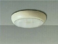 YLEISVALAISIN THORN CLUB CL 28 TC-DD28W GR10Q L840
