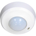 LÄSNÄOLOTUNNISTIN LUXOMAT PD2-M-24V-RR-AP 360D, VAL