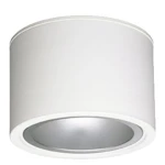 ALASVALO FCS296 1XPL-TT26W/840 HFP
