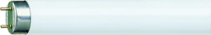 philips Loistelamppu t8 tl-d activiva active 36w