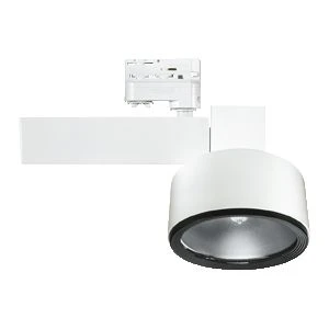 philips Kohdevalaisin mrs261 1xsdw-tg100w k eb 3c wh
