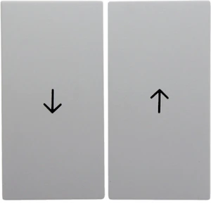 hager Painike knx hager 2os p.24111200 nuoli val