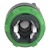 schneider electric Lampvred grön