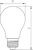 philips Led-lamppu bulb classic d 5.5-25w a60 e27 gold sp cl