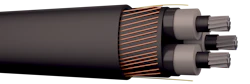 AXLJ-RMF-KOMBI 3X50/16 LT 12KV